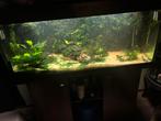 Ferplast dubai 120 cm met jbl 1502 e, Ophalen, Gebruikt, Gevuld zoetwateraquarium
