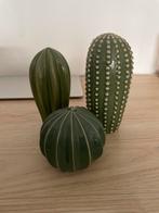 Decoratieve stenen cactussen set, Ophalen of Verzenden