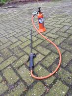 uierbrander, Vrouwelijk, Schaap