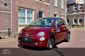 Fiat 500 Lounge 1.2 | Panoramadak | Bordo Metallic | Uconnec beschikbaar voor biedingen