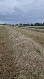Hooibalen voor paarden gras pakken >100 stuks, Dieren en Toebehoren, Dierenvoeding, Ophalen, Vee