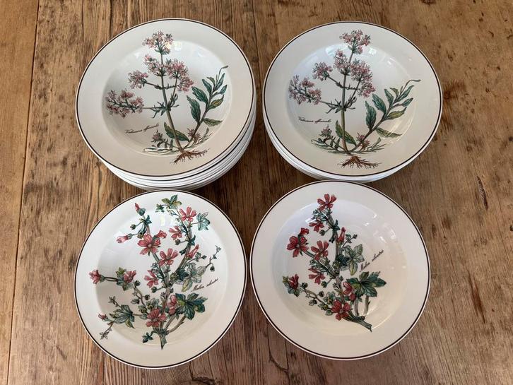 Mooie diepe borden Villeroy & Boch - Botanica, Huis en Inrichting, Keuken | Servies, Zo goed als nieuw, Bord(en), Overige stijlen