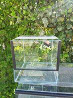 klein terrarium 30x30x30 nieuw, Ophalen, Nieuw, Terrarium of Paludarium