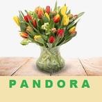 Pandora * ketting * armband * bedels * ORIGINEEL *, Pandora, Ophalen of Verzenden, Zo goed als nieuw, 4 bedels of meer