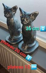 Sphynx, sphynx beelden, set sphynx beelden, katten beelden, Dier, Ophalen