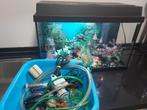 Juwel aquarium 60L, Dieren en Toebehoren, Vissen | Aquaria en Toebehoren, Ophalen, Gebruikt, Leeg aquarium