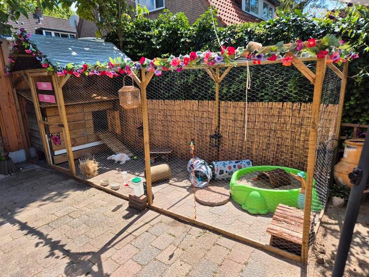 Vakantieverblijf voor knaagdieren, Dieren en Toebehoren, Konijnen, Meerdere dieren