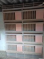 Te koop 8 broedbakken Z.G.A.N, Vrouwelijk, Postduif