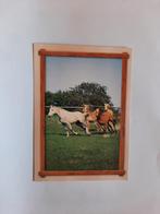 kaart paard veulen dier, Ophalen, 1980 tot heden, Ongelopen, Paard
