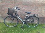 Batavus Damesfiets, Ophalen, Versnellingen, Batavus, 53 tot 56 cm