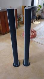 Piega S4 speakers, Gebruikt, 120 watt of meer, Front, Rear of Stereo speakers, Ophalen