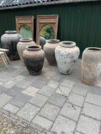 Oude antieken pot potten stoer en sober olijfboom, Ophalen