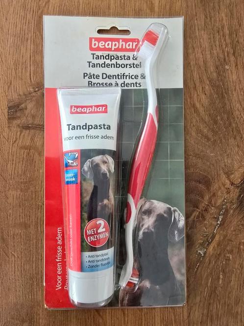 Beaphar Tandpasta En Borstel - Gebitsverzorging - Lever, Dieren en Toebehoren, Honden-accessoires, Nieuw, Ophalen of Verzenden