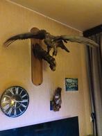 Opgezette dieren – los of als set te koop, Ophalen of Verzenden, Zo goed als nieuw