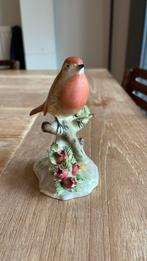 Royal Adderley Robin of Roodborstje, Ophalen of Verzenden, Gebruikt, Dier