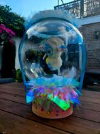 Unieke Cadeauboxen met Ballonnen, Ophalen, Nieuw, Verjaardag