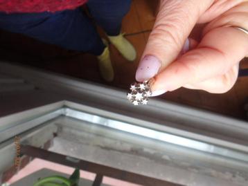 Antieke gouden 14 K ring met rozette van roos diamanten beschikbaar voor biedingen