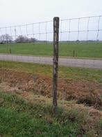 Gaas 2m hoge afrastering en palen, Tuin en Terras, Gaas en Draad, Ophalen, Zo goed als nieuw, 20 meter of meer, Gaas