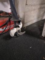 5pk yamaha buitenboordmotor, Watersport en Boten, Ophalen, Gebruikt, Motor en Techniek, Zeilboot of Motorboot