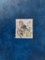 Vogel. Barmsijs. België, Ophalen of Verzenden, Dier of Natuur