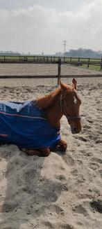 Bucas Therapy Cooler Recuptex 140/191, Ophalen of Verzenden, Zo goed als nieuw