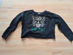 H&M longsleeve (maat 170), Kinderen en Baby's, Kinderkleding | Maat 170, Ophalen of Verzenden, Gebruikt, Jongen, Shirt of Longsleeve