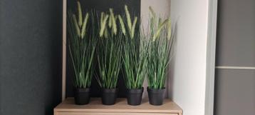 4 Kunstplanten, zo goed als nieuw. beschikbaar voor biedingen