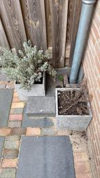 Bloembak, Tuin en Terras, Bloembakken en Plantenbakken, Ophalen, Zo goed als nieuw, Minder dan 30 cm