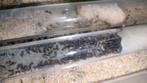 Lasius niger mierenkolonie met 100+ werksters, Dieren en Toebehoren, Insecten en Spinnen, Mieren