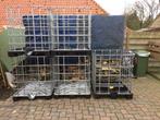 Zeer nette ibc kooien / kratten, Doe-het-zelf en Verbouw, Ophalen, 100 cm of meer, 60 cm of meer, Zo goed als nieuw
