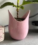 Roze bloempot, Rond, Ophalen of Verzenden, Zo goed als nieuw, Minder dan 25 cm