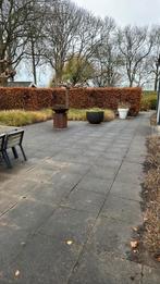 Schellevis tegel 60x60 grijs, Tuin en Terras, Ophalen, Gebruikt, Beton, Terrastegels
