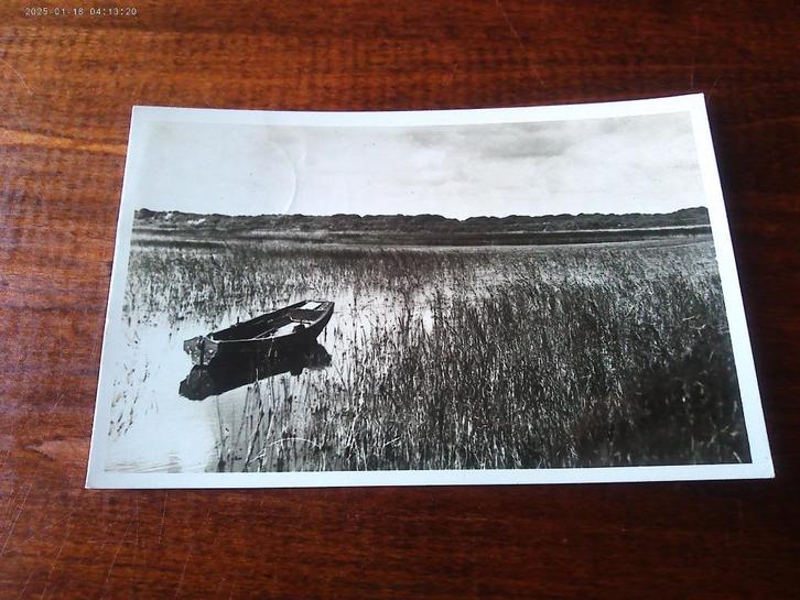 A34 - Texel - Mui - Boot - Mooi/Oud, Verzamelen, Ansichtkaarten | Nederland, Waddeneilanden, Ophalen of Verzenden