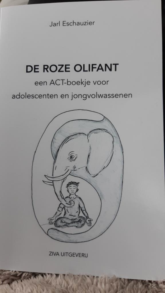 De Roze Olifant - ACT-boekje voor jongvolwassenen, Boeken, Psychologie, Zo goed als nieuw, Klinische psychologie, Ophalen of Verzenden