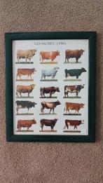 Poster ingelijst Franse koeien, Ophalen of Verzenden, Zo goed als nieuw, Minder dan 50 cm, Minder dan 50 cm