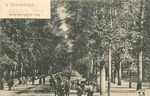 (388-007-025) Den Haag Scheveningsche Weg, Verzamelen, Ansichtkaarten | Nederland, Zuid-Holland, Verzenden