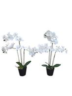 • Grote witte kunst orchideeën - Set van 2 🌿, Huis en Inrichting, Ophalen of Verzenden, Nieuw, Binnen