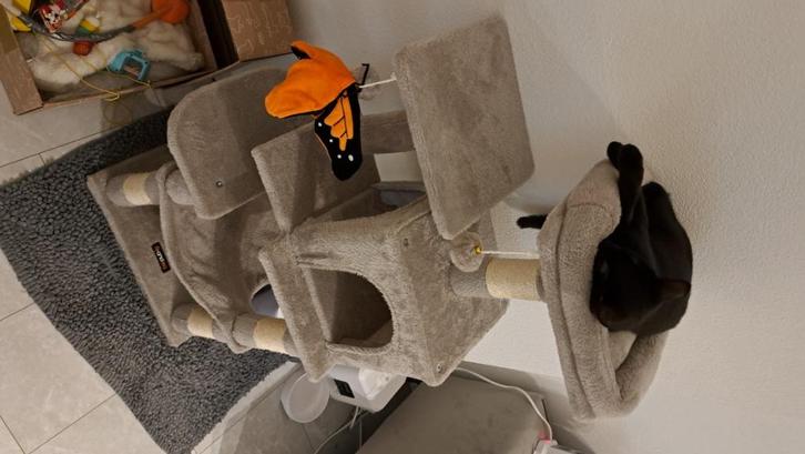 Cat tree/katten boom, Dieren en Toebehoren, Krabmeubelen, Nieuw, Krabpaal, Ophalen of Verzenden
