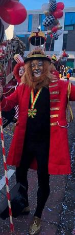 Prijswinnend mannen carnavalspak, Ophalen, Zo goed als nieuw, Carnaval
