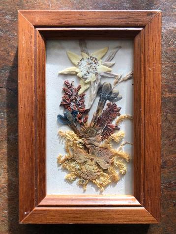 Oostenrijkse Bloemenlijst beschikbaar voor biedingen