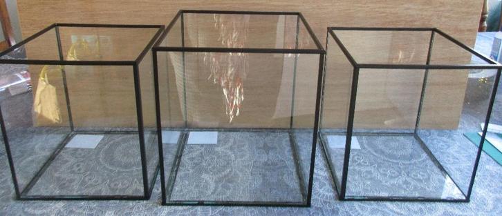 3 decoratie - Terrarium rechthoekig - glas - 2 maten - à 5,=, Huis en Inrichting, Woonaccessoires | Overige, Nieuw, Ophalen of Verzenden
