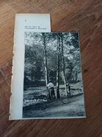 Knipsel vijver Groenendaal Heemstede 1931, Ophalen of Verzenden, 1920 tot 1940, Knipsel(s)