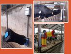 Koeborstels / koeborstel< verschilende types, Dieren en Toebehoren, Overige Dieren-accessoires, Ophalen, Nieuw