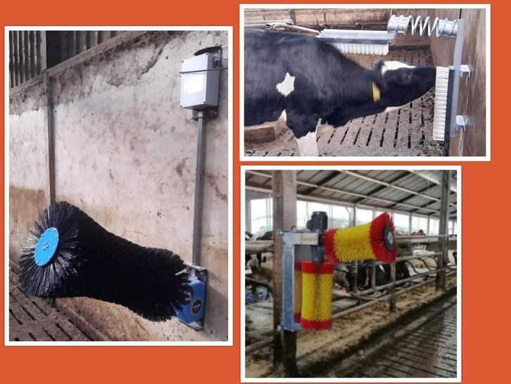 Koeborstels / koeborstel< verschilende types, Dieren en Toebehoren, Overige Dieren-accessoires, Nieuw, Ophalen