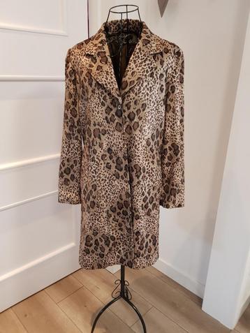 jasje - Blazer beschikbaar voor biedingen
