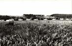 Camping Duin en Strand, Scharendijke - 1966? gelopen, Ophalen of Verzenden, 1960 tot 1980, Gelopen, Zeeland
