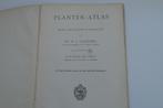 Planten Atlas Dr.H.J.Kalkoen +/- 1900, Tuin en Terras, Planten | Bomen, Ophalen of Verzenden, Volle zon, Overige soorten