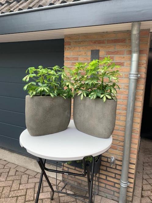 Still bloempot grijs steen, Tuin en Terras, Bloempotten, Zo goed als nieuw, Steen, Binnen, Minder dan 40 cm, 40 cm of meer, Overige vormen