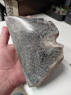 19x11cm grote plak van geslepe. Dinosaurus bot, Ophalen of Verzenden