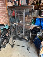 Papegaaienkooi met accessoires, Ophalen, Gebruikt, Metaal, Vogelkooi